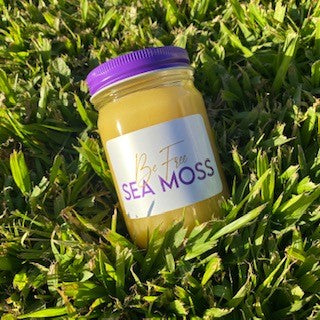 Premium Fruit Sea Moss Gel | Wildcrafted St. Lucia Sea Moss
