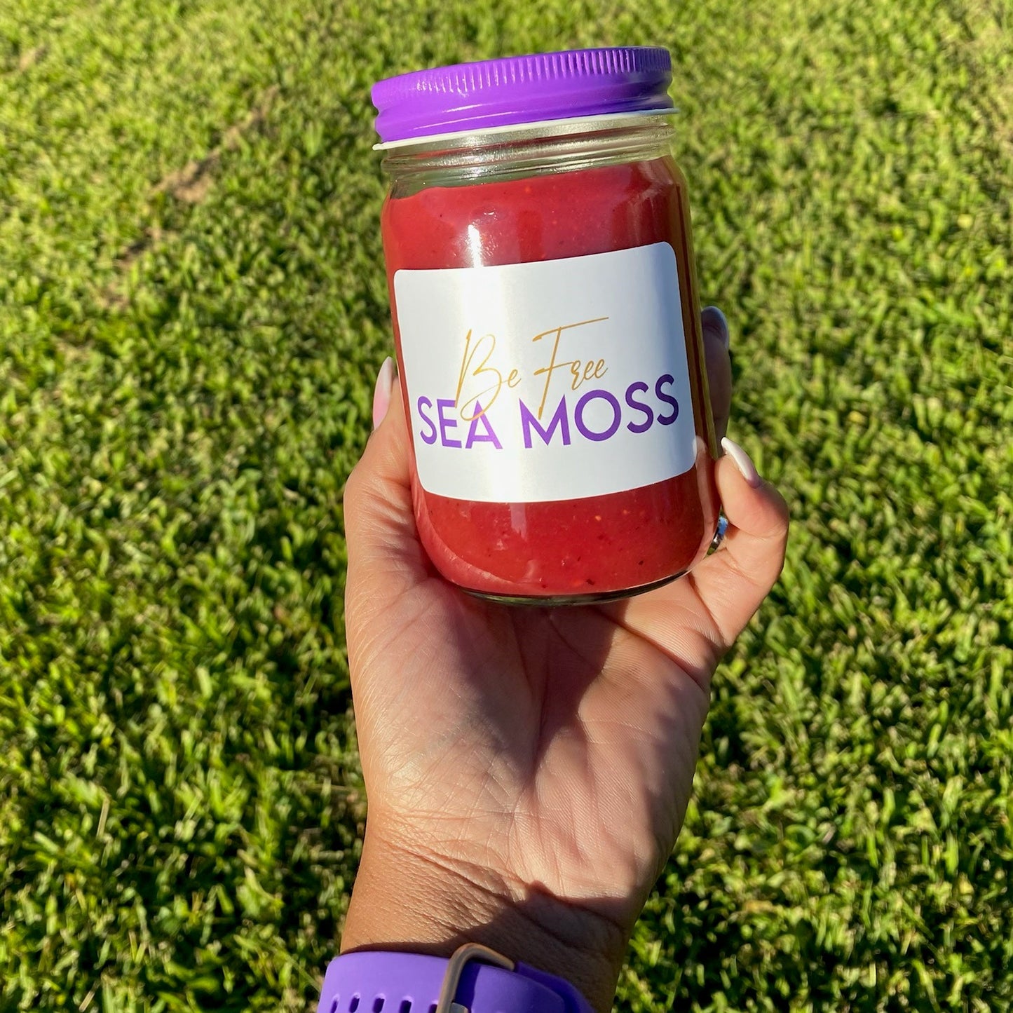 Premium Fruit Sea Moss Gel | Wildcrafted St. Lucia Sea Moss