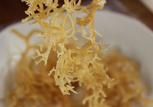 Premium Raw Sea Moss | Wildcrafted St. Lucia Sea Moss