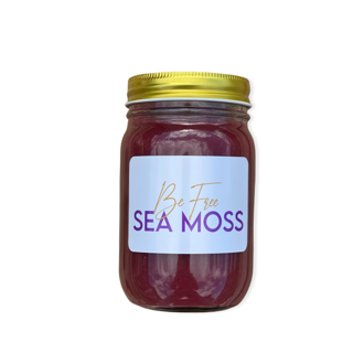 Premium Elderberry Sea Moss Gel | Wildcrafted St. Lucia Sea Moss + Elderberry