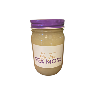 Premium Gold Sea Moss Gel | Wildcrafted St. Lucia Sea Moss