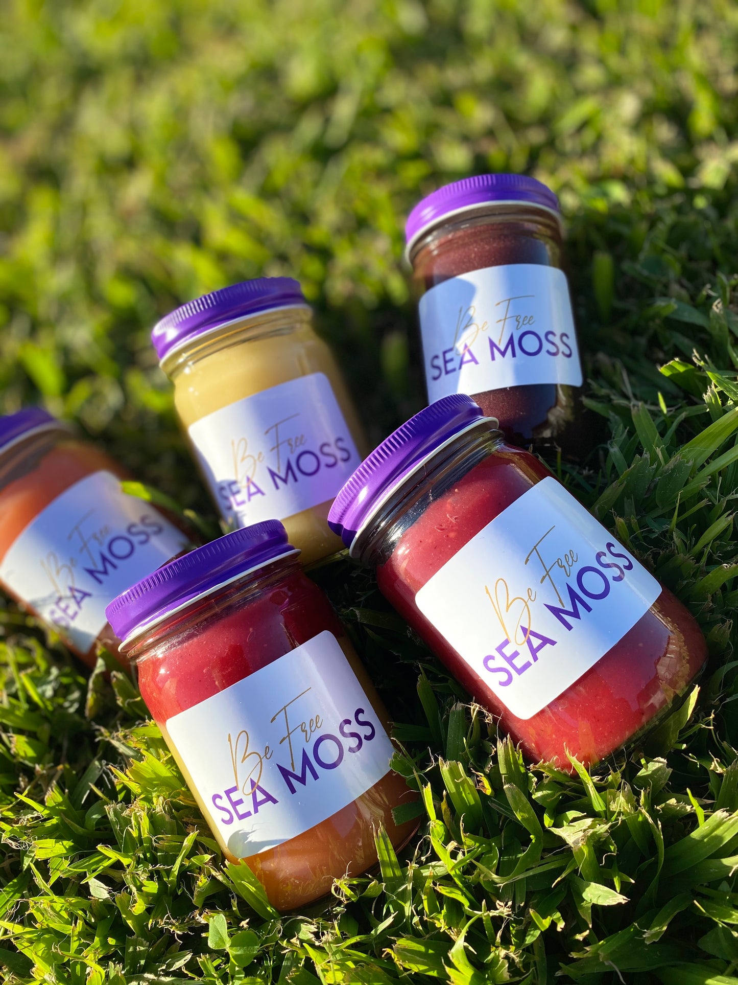 Premium Fruit Sea Moss Gel | Wildcrafted St. Lucia Sea Moss